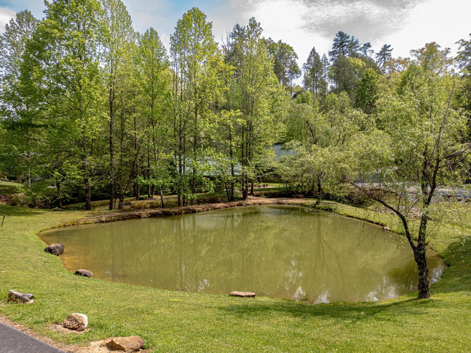 Love Me Tender Studio Cabin Sevierville Rom bilde